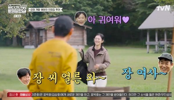 44세