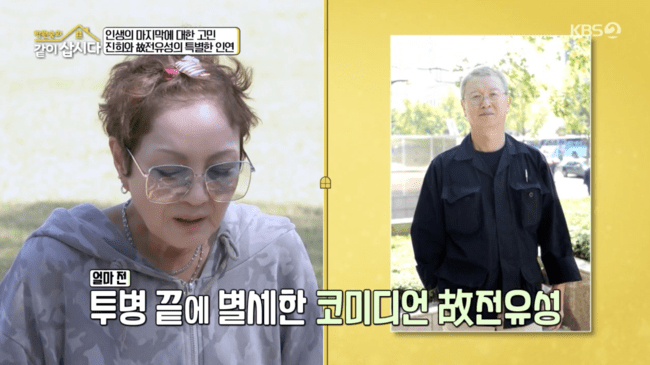 홍진희