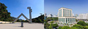라이덴 랭킹 |  서울대 논문 수 1위, 질은 세종대… KAIST 두 마리 토끼 잡다