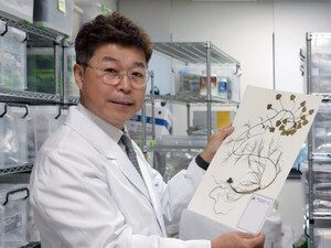 경희대, WHO 선정 세계 21대 혁신으로 국제 연구 인정받다